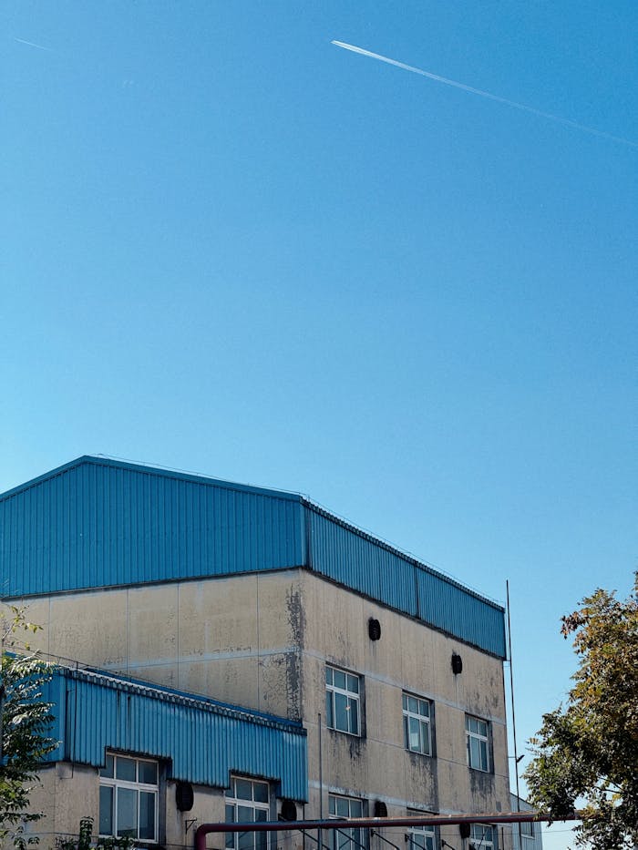 pexels photo 34464563.jpeg